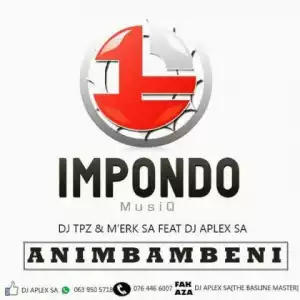 DJ Tpz - Animbambeni Ft. DJ Aplex SA, M’erk SA